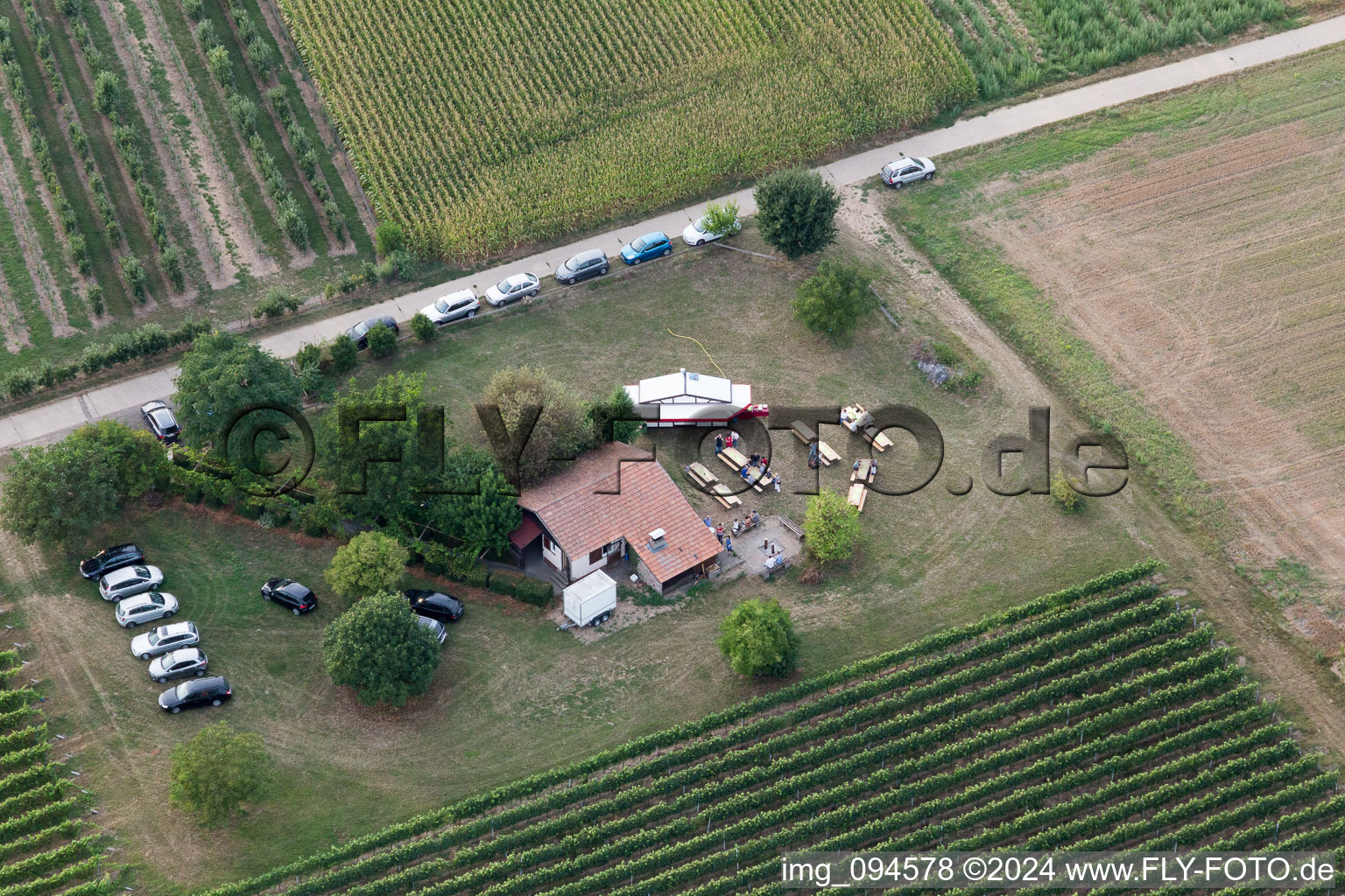 Impflingen in the state Rhineland-Palatinate, Germany from a drone