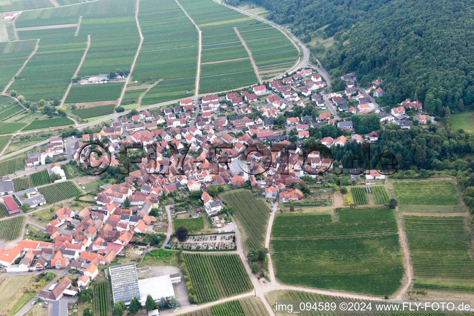 Leinsweiler in the state Rhineland-Palatinate, Germany from a drone