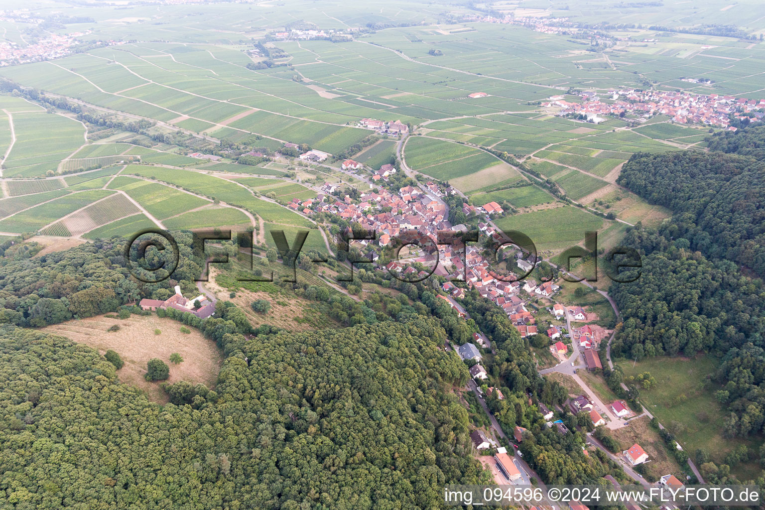 Leinsweiler in the state Rhineland-Palatinate, Germany seen from above