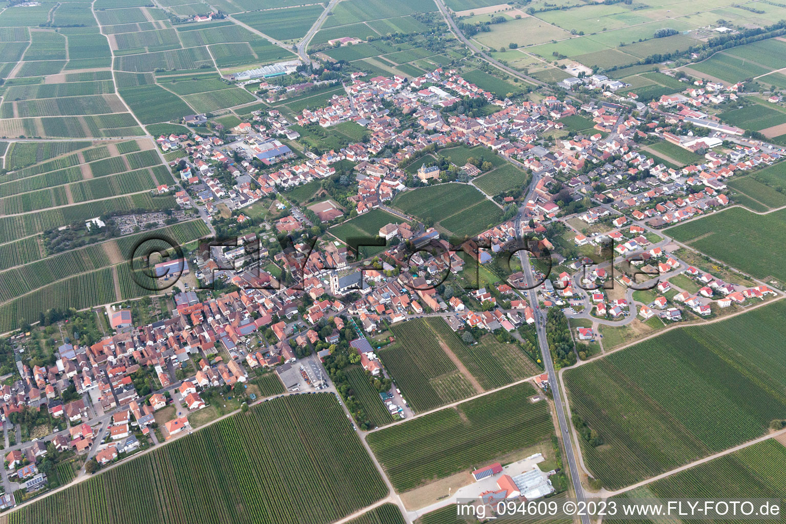 Edesheim in the state Rhineland-Palatinate, Germany from the drone perspective