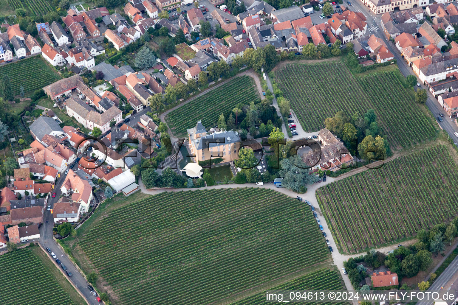 Aerial photograpy of Complex of the hotel building Hotel Schloss Edesheim, Privathotels Dr. Lohbeck GmbH & Co. KG in Edesheim in the state Rhineland-Palatinate