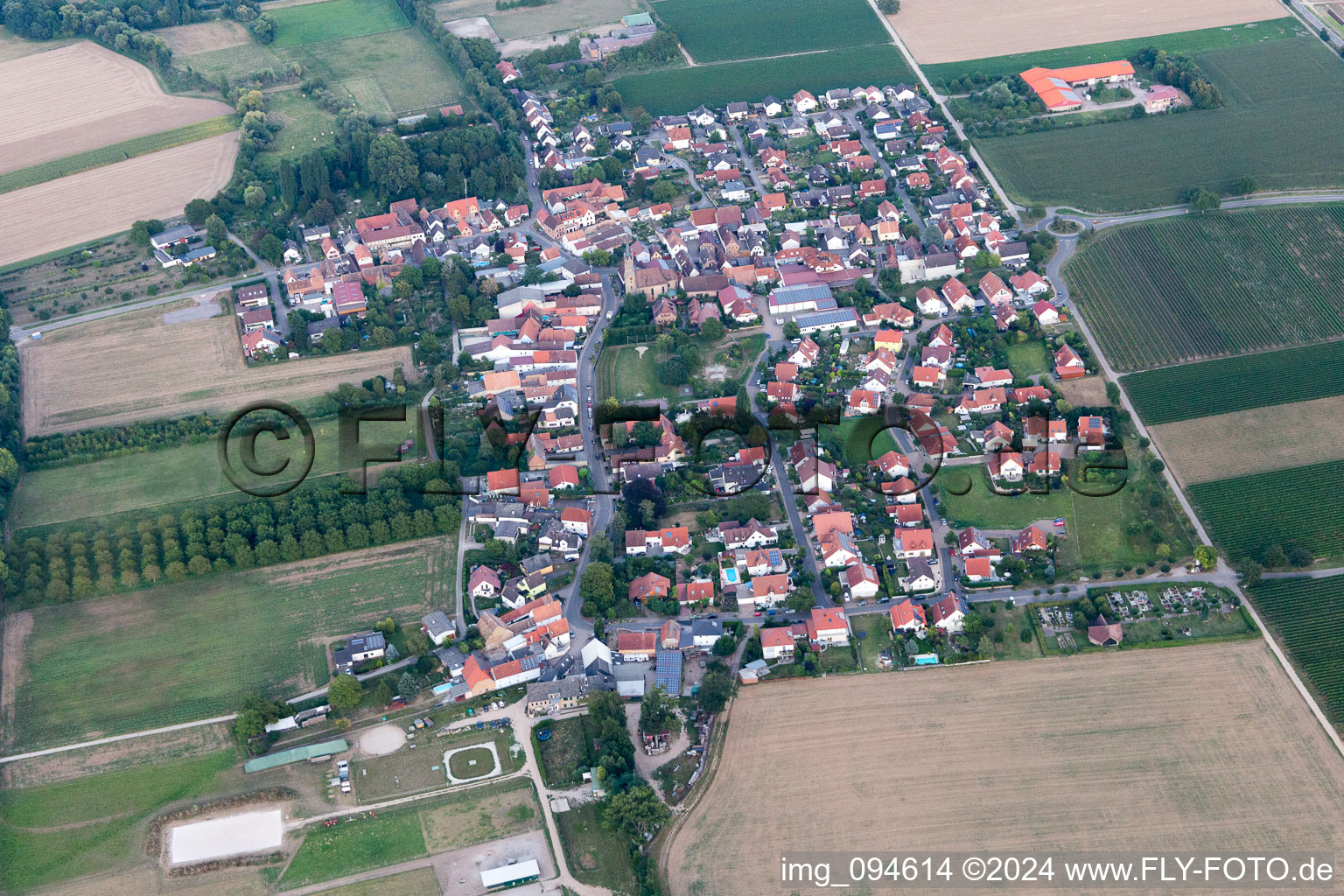 Großfischlingen in the state Rhineland-Palatinate, Germany from the plane