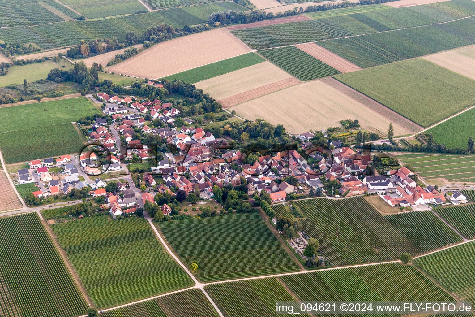 Village - view on the edge of agricultural fields and farmland in Kleinfischlingen in the state Rhineland-Palatinate, Germany