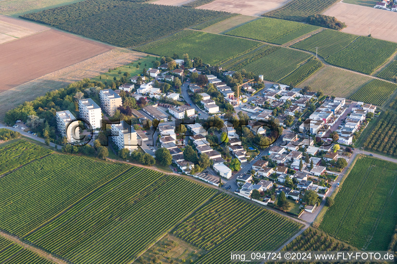 District Goldbergstrasse in the city in Nieder-Olm in the state Rhineland-Palatinate, Germany