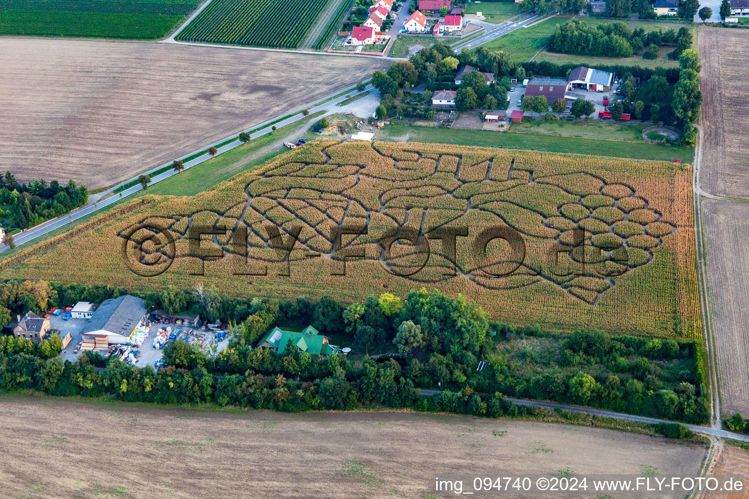 Aerial view of Corn maze in Dalheim in the state Rhineland-Palatinate, Germany