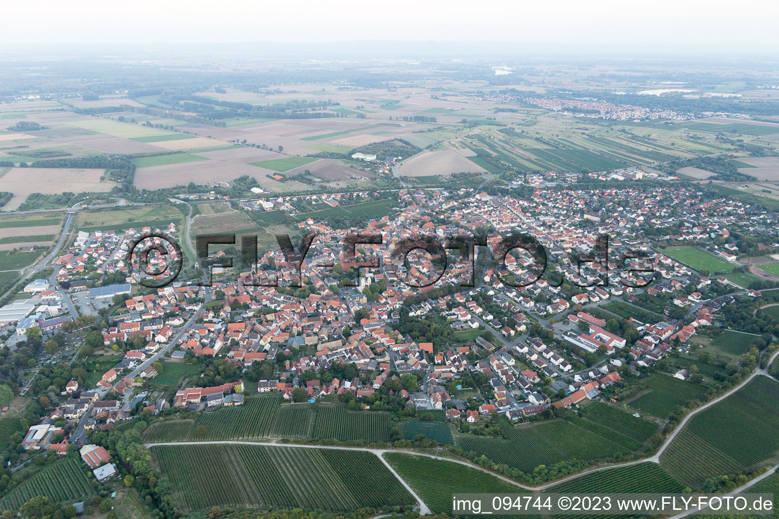 Drone recording of Guntersblum in the state Rhineland-Palatinate, Germany