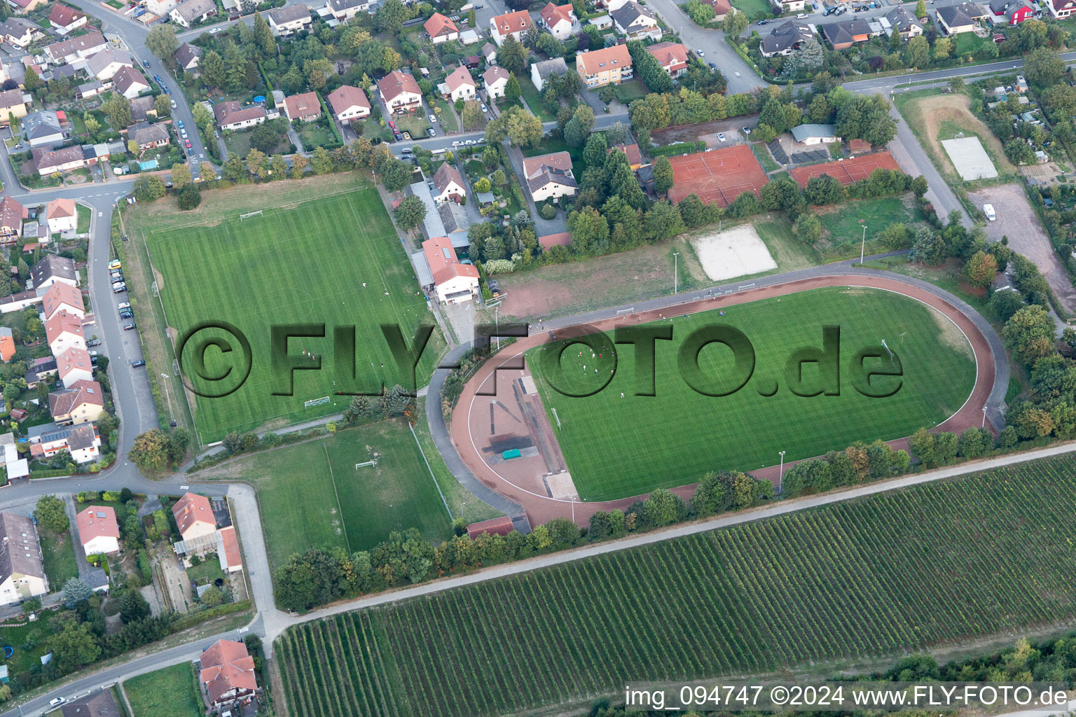 Guntersblum in the state Rhineland-Palatinate, Germany from the drone perspective