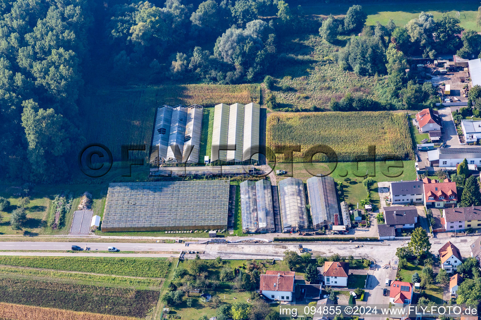 Nursery on Friedrichstr in the district Liedolsheim in Dettenheim in the state Baden-Wuerttemberg, Germany