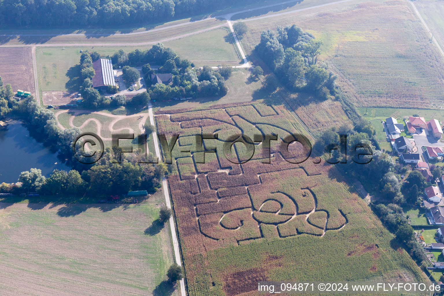 Corn maze in Leimersheim in the state Rhineland-Palatinate, Germany