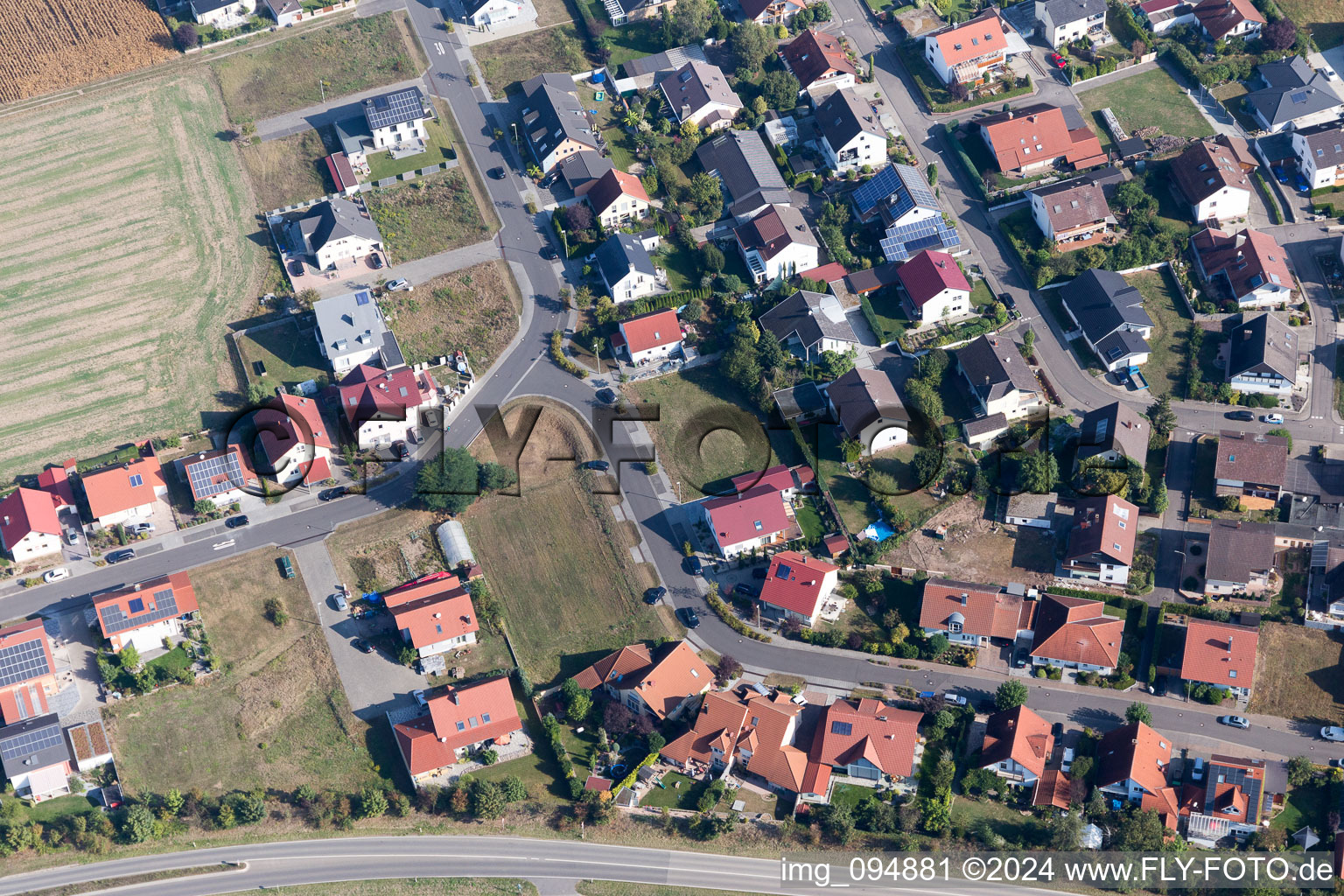 Bird's eye view of Hardtwald in the state Rhineland-Palatinate, Germany