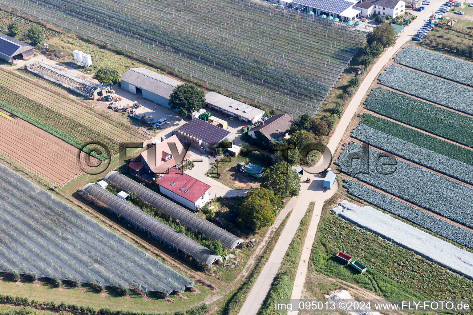 Kandel in the state Rhineland-Palatinate, Germany seen from above