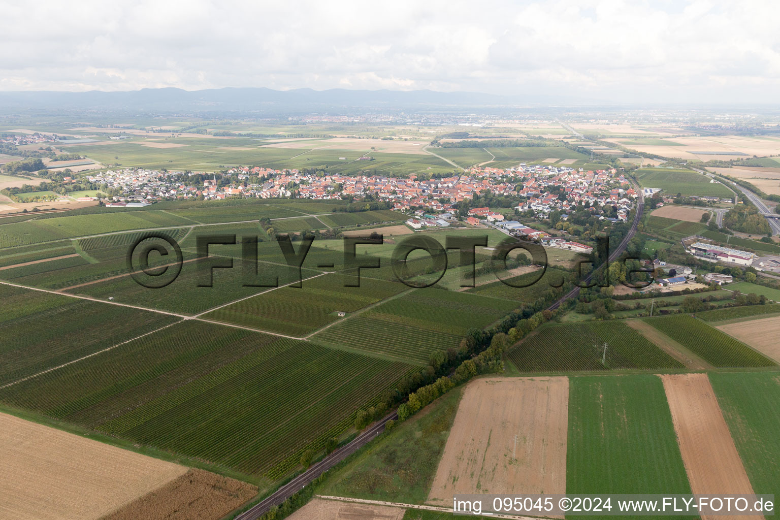 Insheim in the state Rhineland-Palatinate, Germany from above