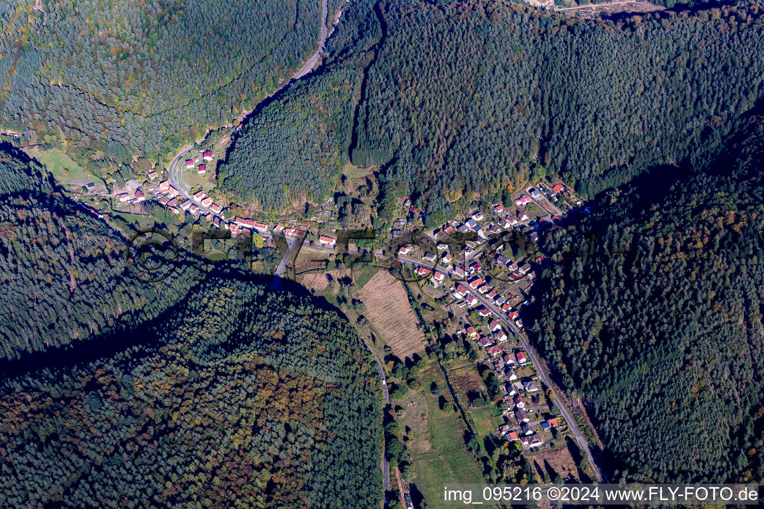 Aerial view of Village view in the district Salzwoog in Lemberg in the state Rhineland-Palatinate, Germany