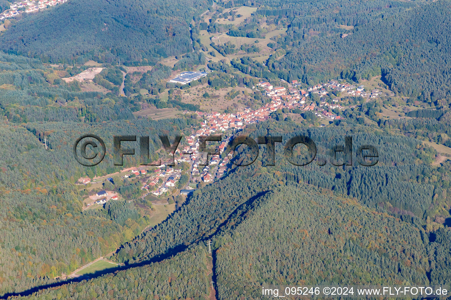 Oblique view of Schwanheim in the state Rhineland-Palatinate, Germany