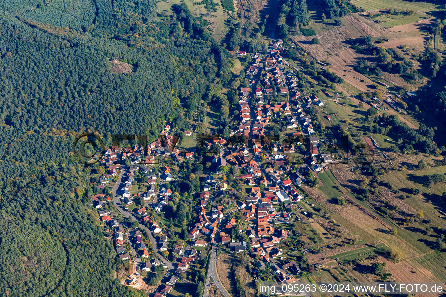 Village - view on the edge of agricultural fields and farmland in Birkenhoerdt in the state Rhineland-Palatinate, Germany