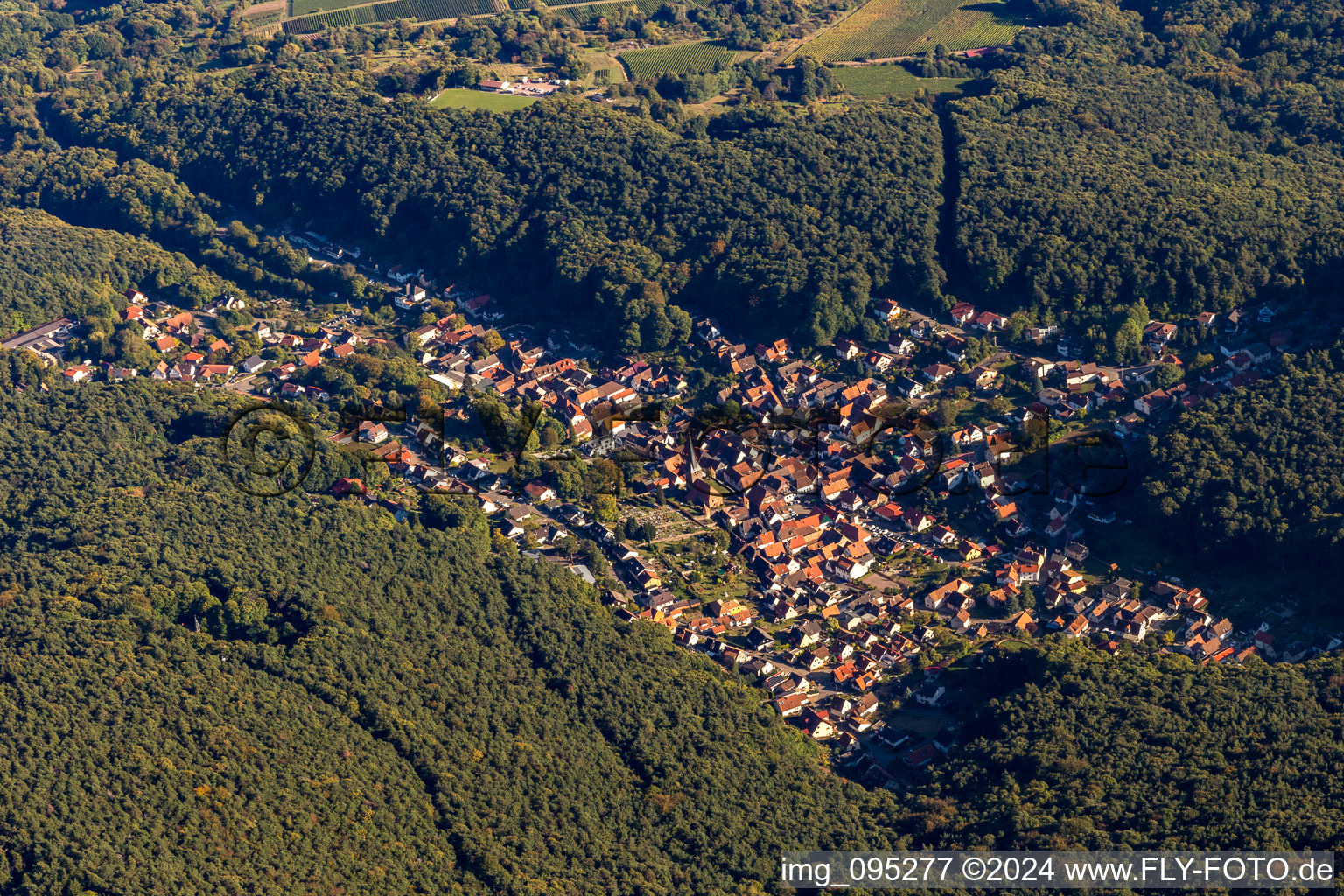 Oblique view of Dörrenbach in the state Rhineland-Palatinate, Germany