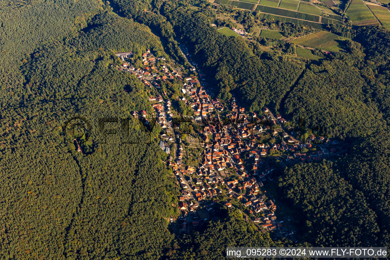 Bird's eye view of Dörrenbach in the state Rhineland-Palatinate, Germany