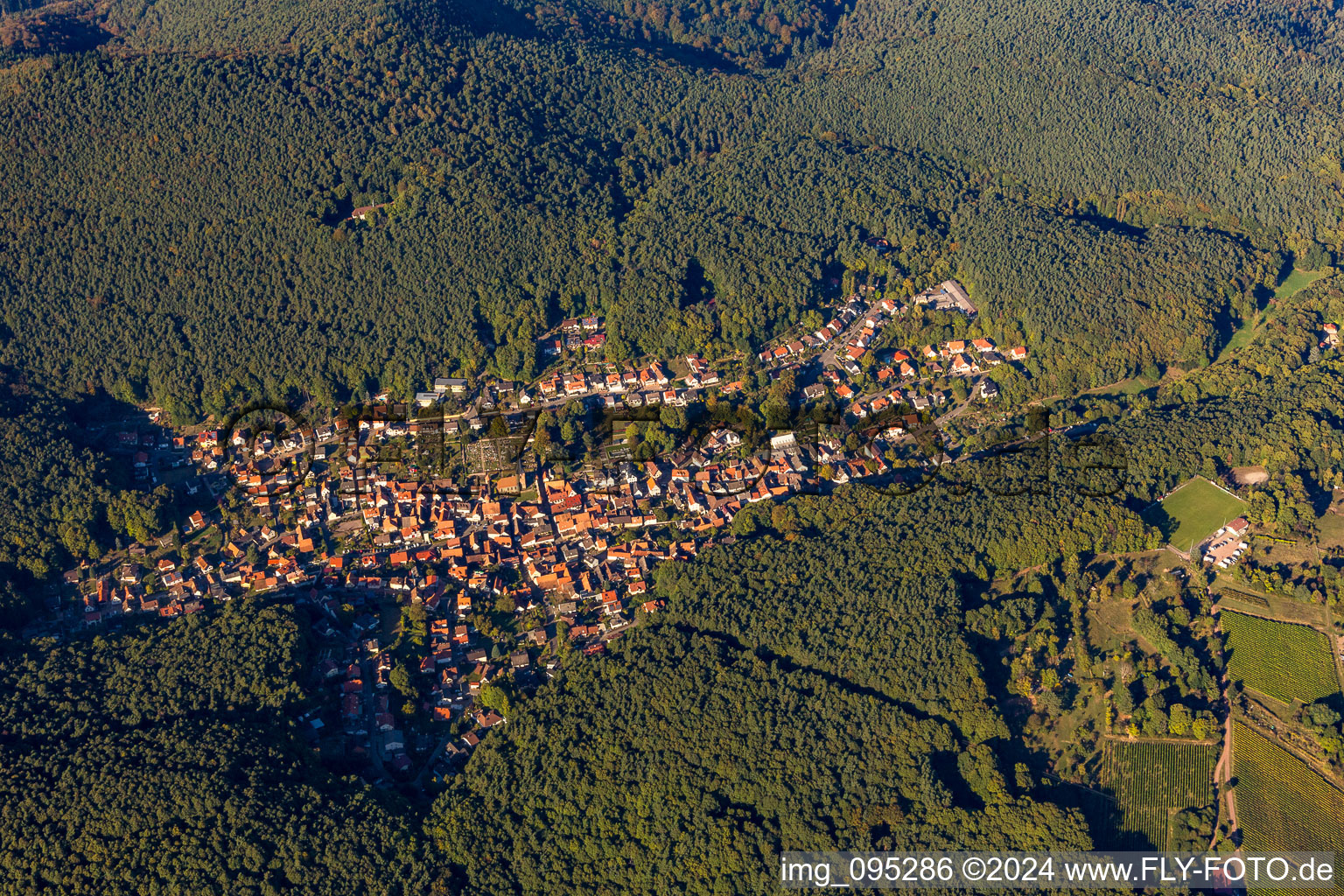 Aerial view of Forest and mountain scenery des suedlichen Pfaelzerwald in Doerrenbach in the state Rhineland-Palatinate