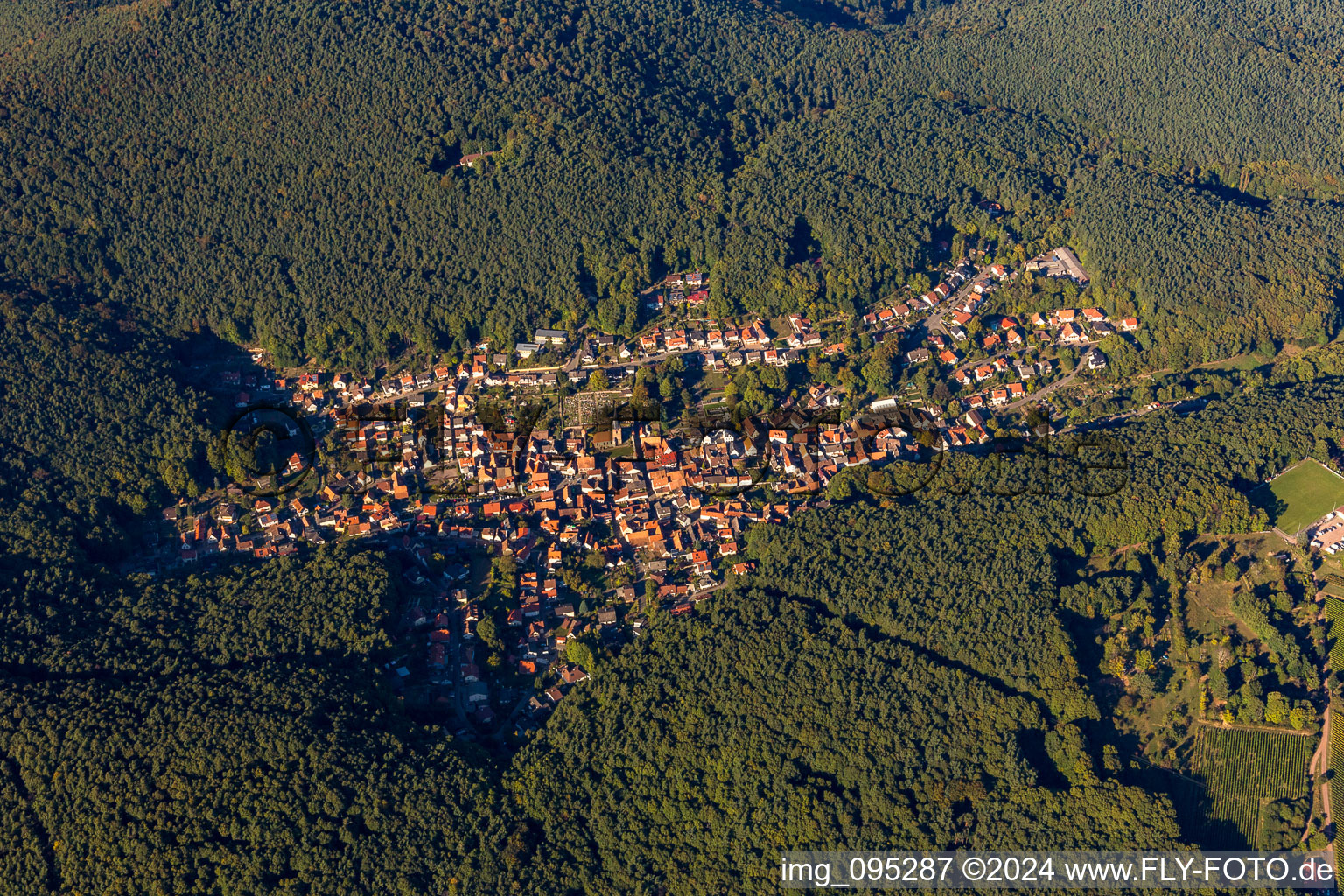 Dörrenbach in the state Rhineland-Palatinate, Germany viewn from the air