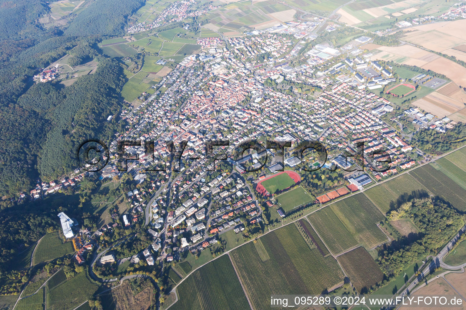 Bad Bergzabern in the state Rhineland-Palatinate, Germany from the plane