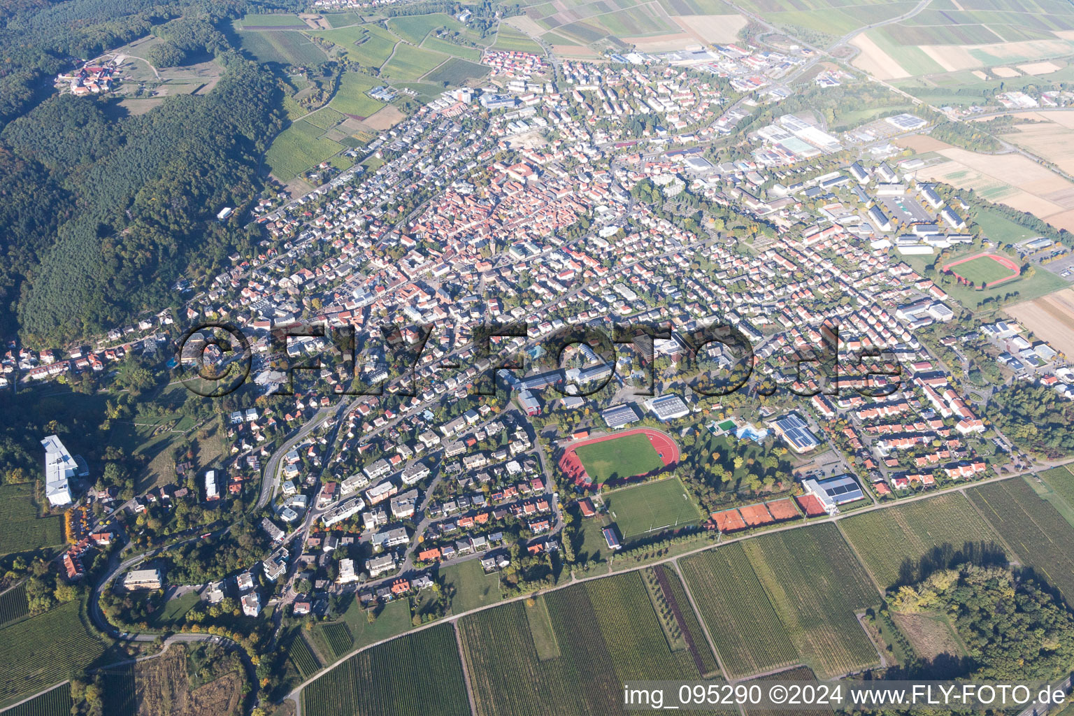 Bird's eye view of Bad Bergzabern in the state Rhineland-Palatinate, Germany