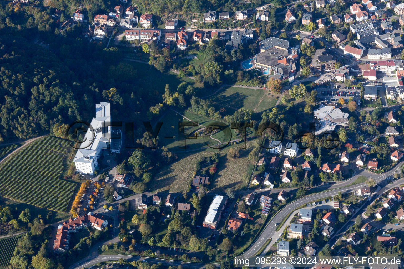 Drone image of Bad Bergzabern in the state Rhineland-Palatinate, Germany