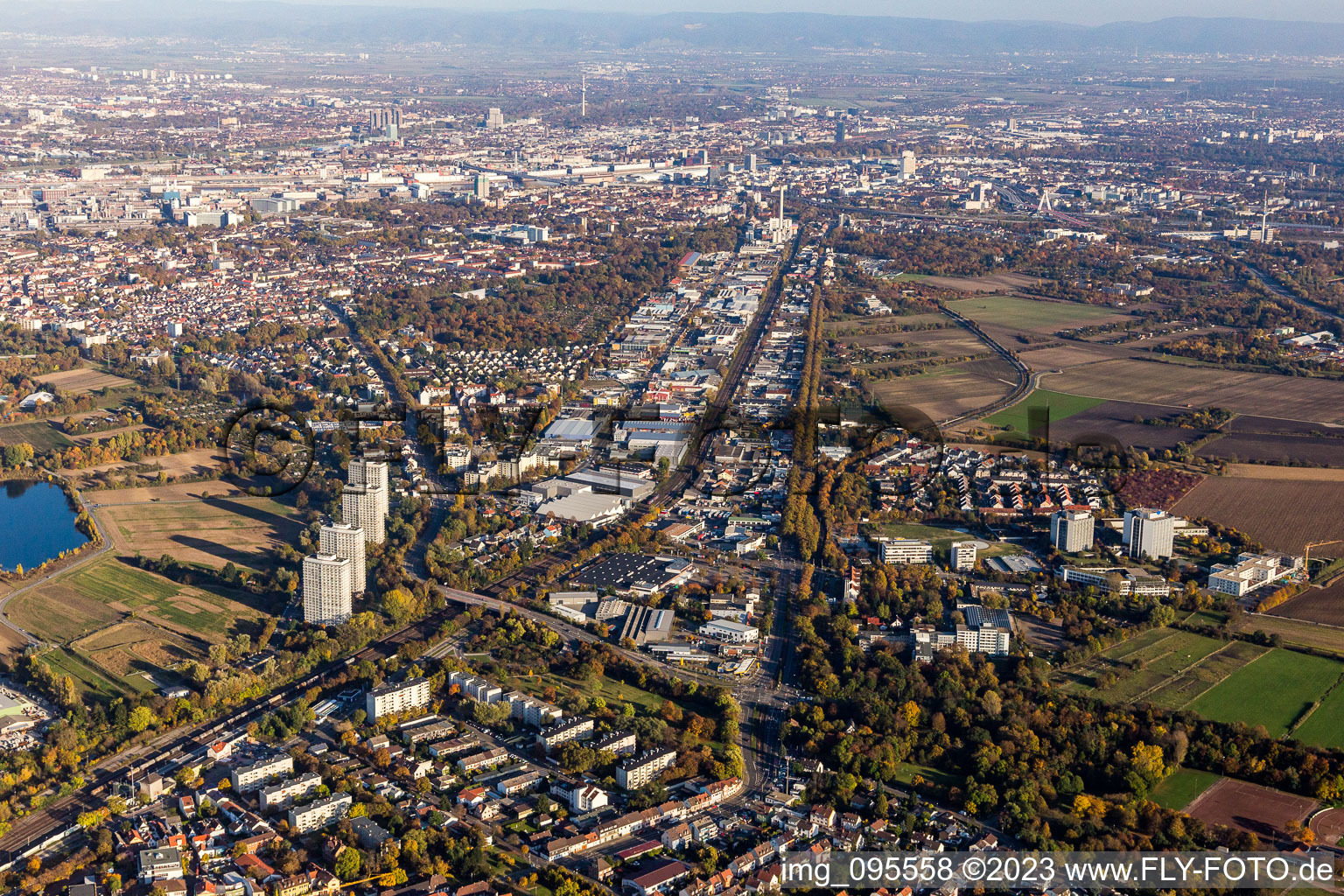 Industriestr in the district Friesenheim in Ludwigshafen am Rhein in the state Rhineland-Palatinate, Germany