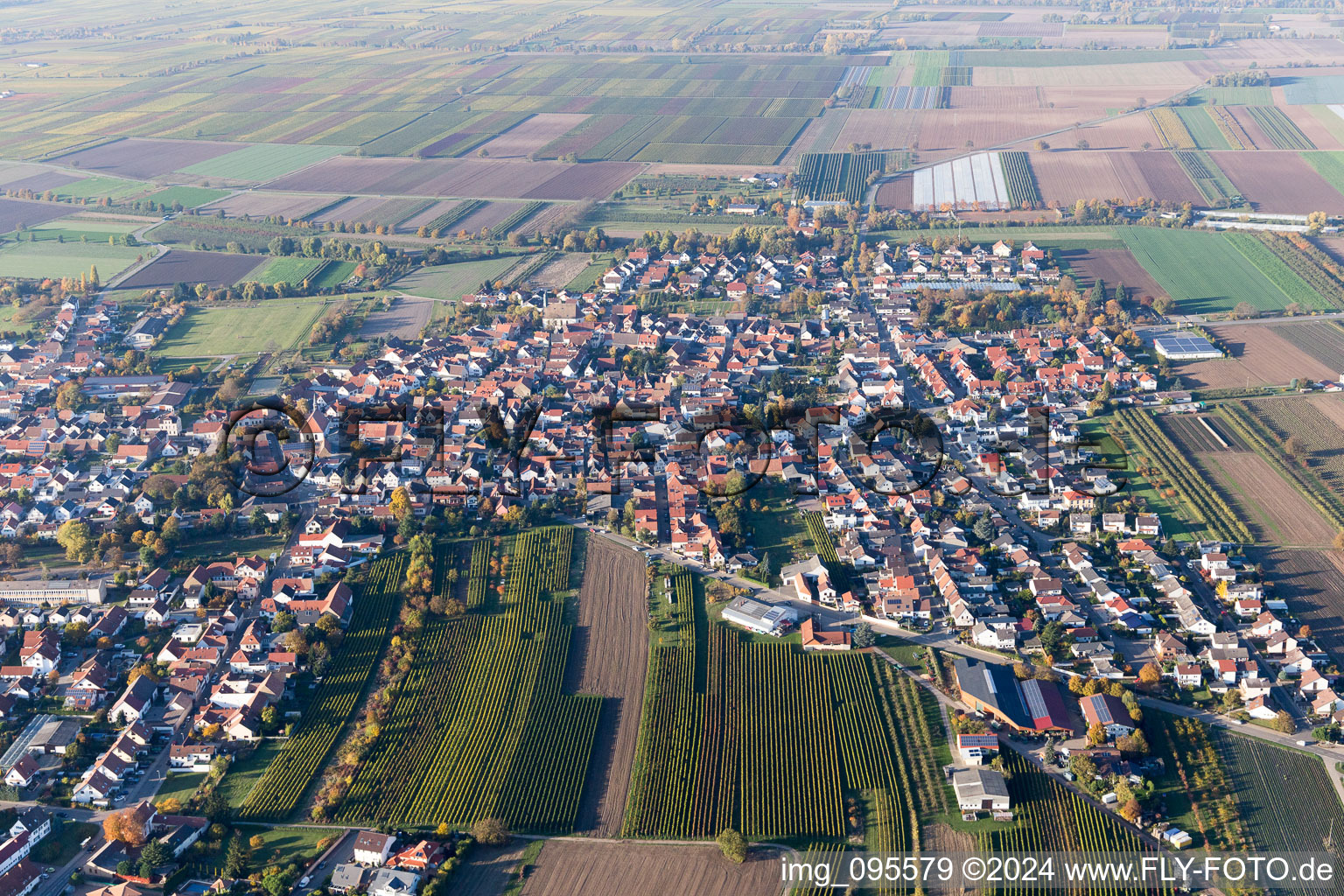 Aerial view of Meckenheim in the state Rhineland-Palatinate, Germany