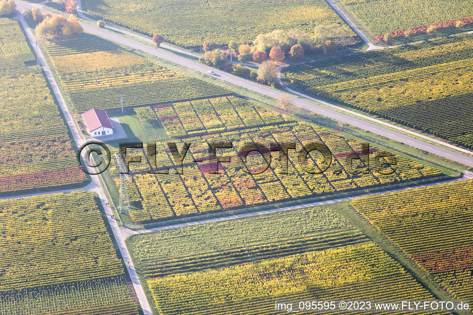 Aerial view of District Mußbach in Neustadt an der Weinstraße in the state Rhineland-Palatinate, Germany