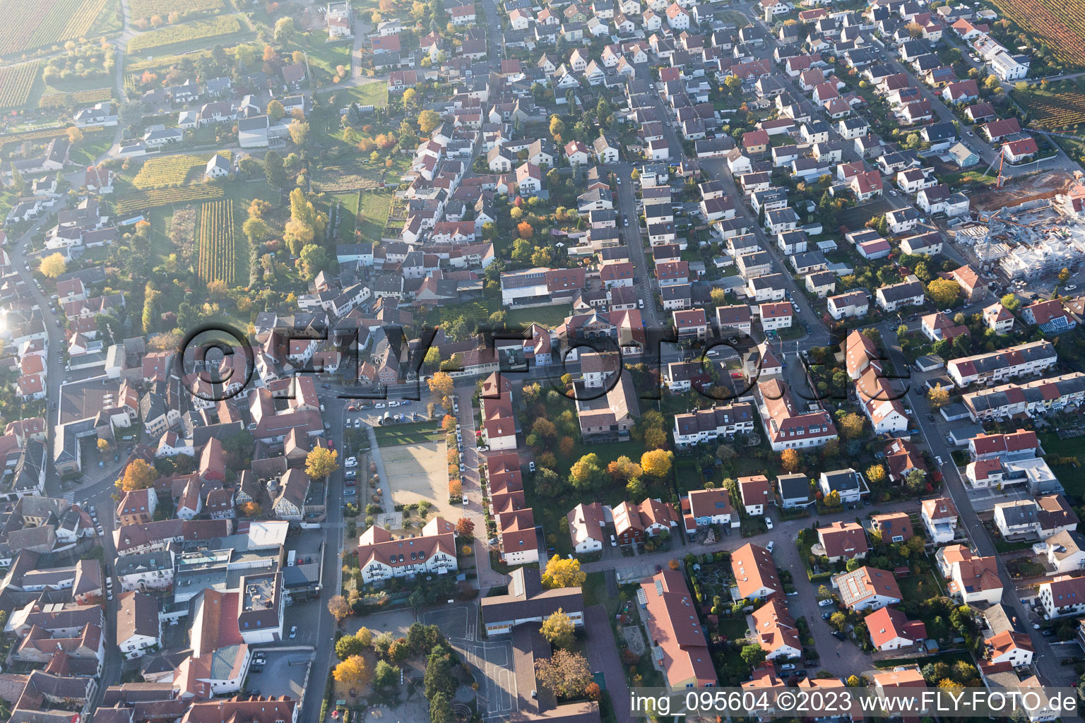 District Diedesfeld in Neustadt an der Weinstraße in the state Rhineland-Palatinate, Germany out of the air