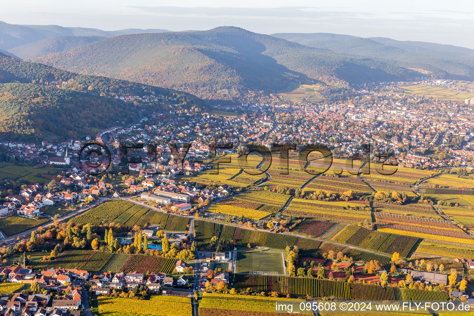Village - view on the edge of wine yards in the district Hambach in Neustadt an der Weinstrasse in the state Rhineland-Palatinate, Germany