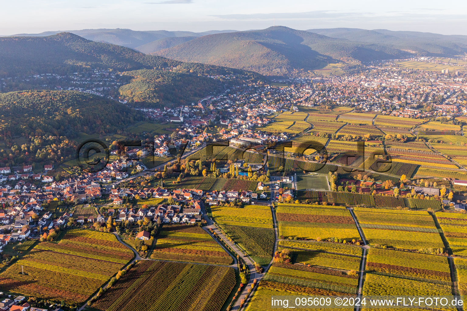 Aerial view of Village - view on the edge of wine yards in the district Hambach in Neustadt an der Weinstrasse in the state Rhineland-Palatinate, Germany