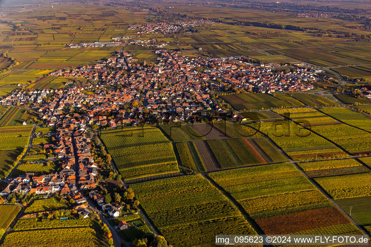 Maikammer in the state Rhineland-Palatinate, Germany from the plane