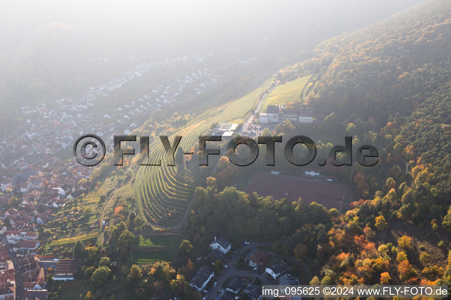 Oblique view of Sankt Martin in the state Rhineland-Palatinate, Germany