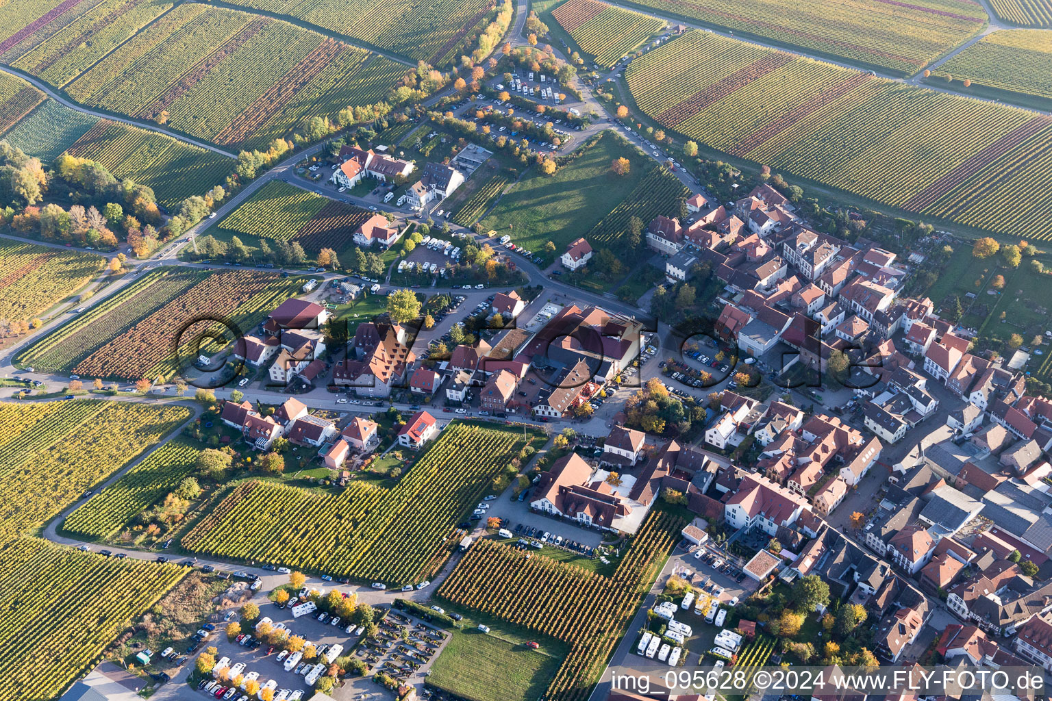 Sankt Martin in the state Rhineland-Palatinate, Germany from above