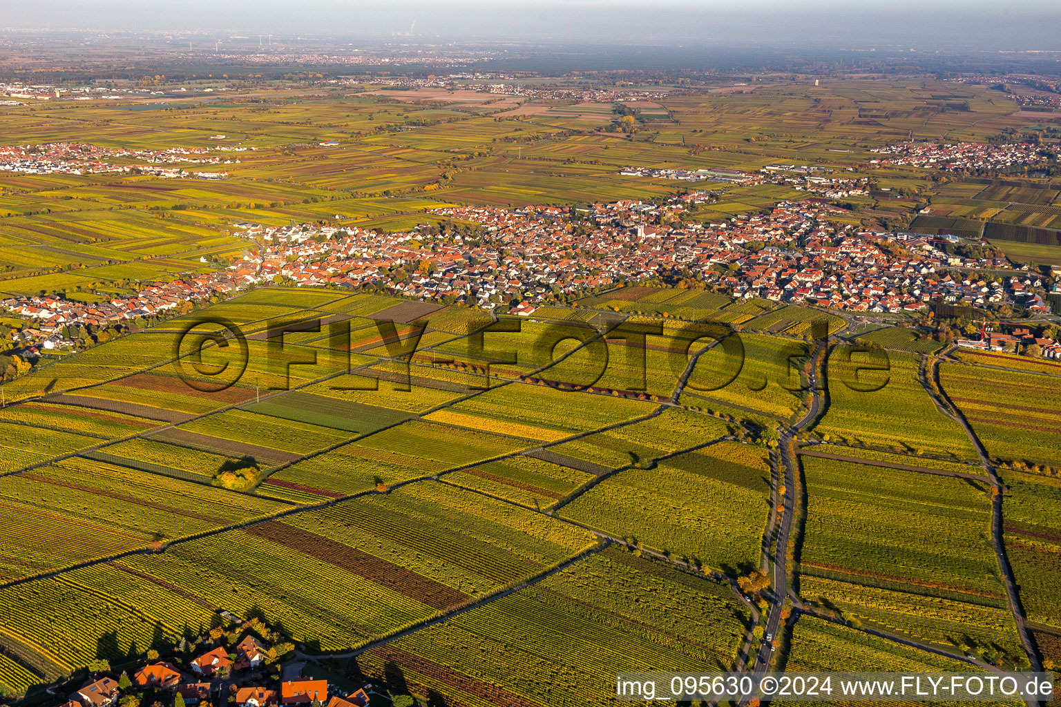 Maikammer in the state Rhineland-Palatinate, Germany from above