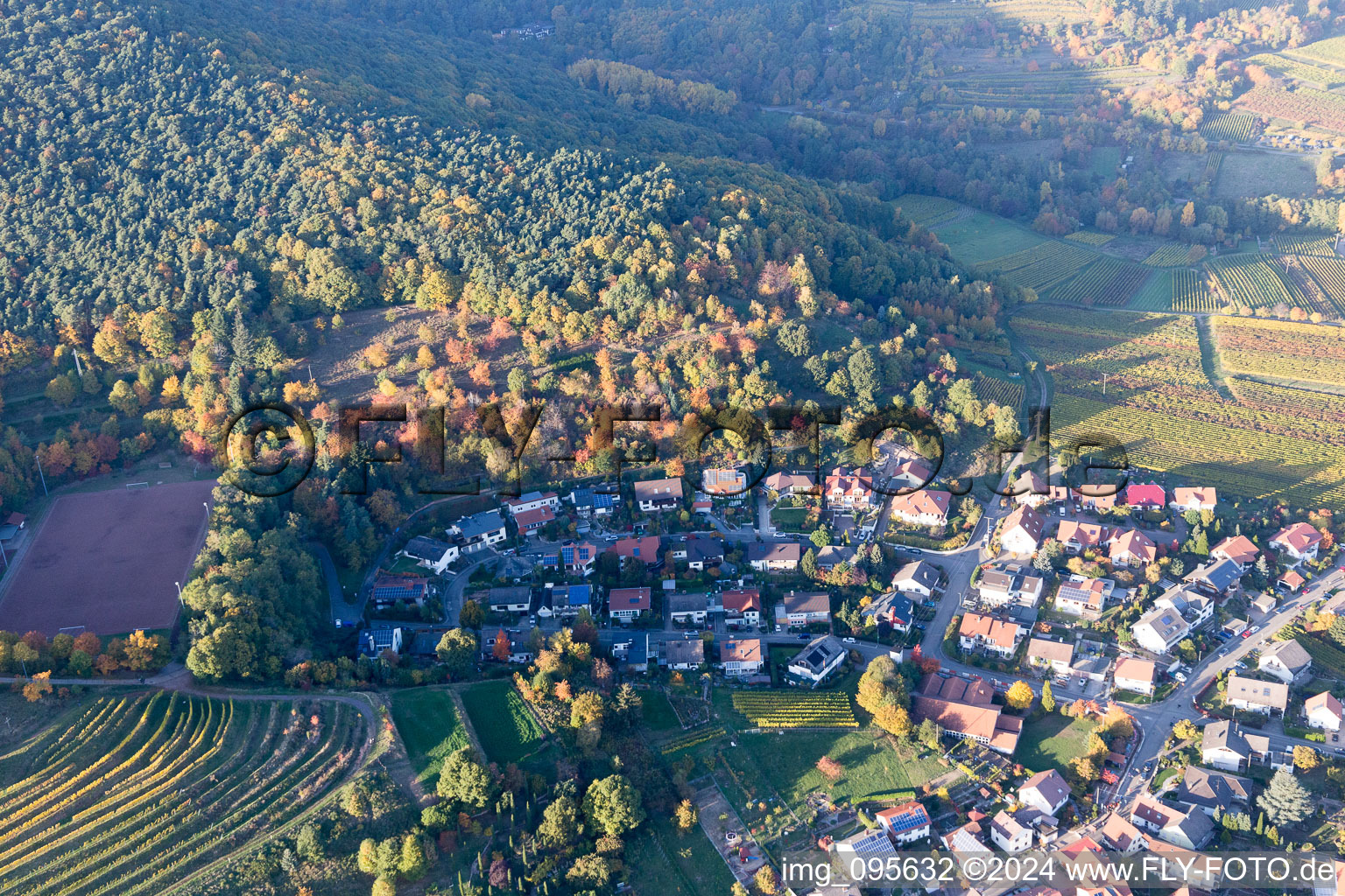 Sankt Martin in the state Rhineland-Palatinate, Germany seen from above