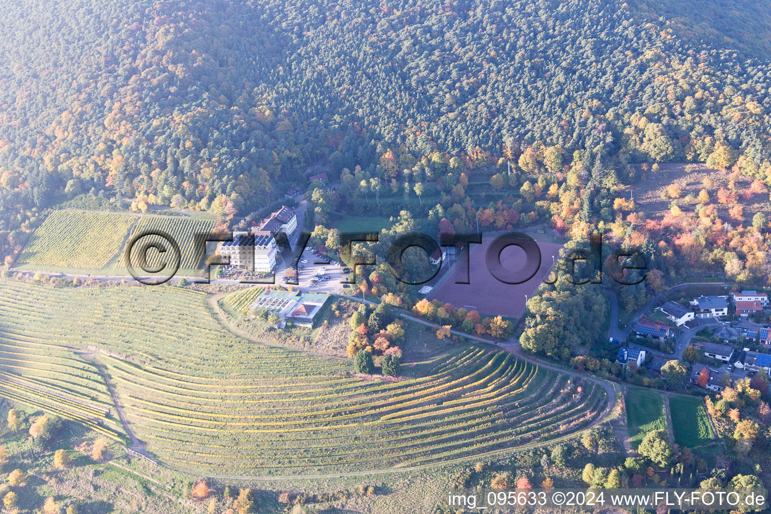 Sankt Martin in the state Rhineland-Palatinate, Germany from the plane