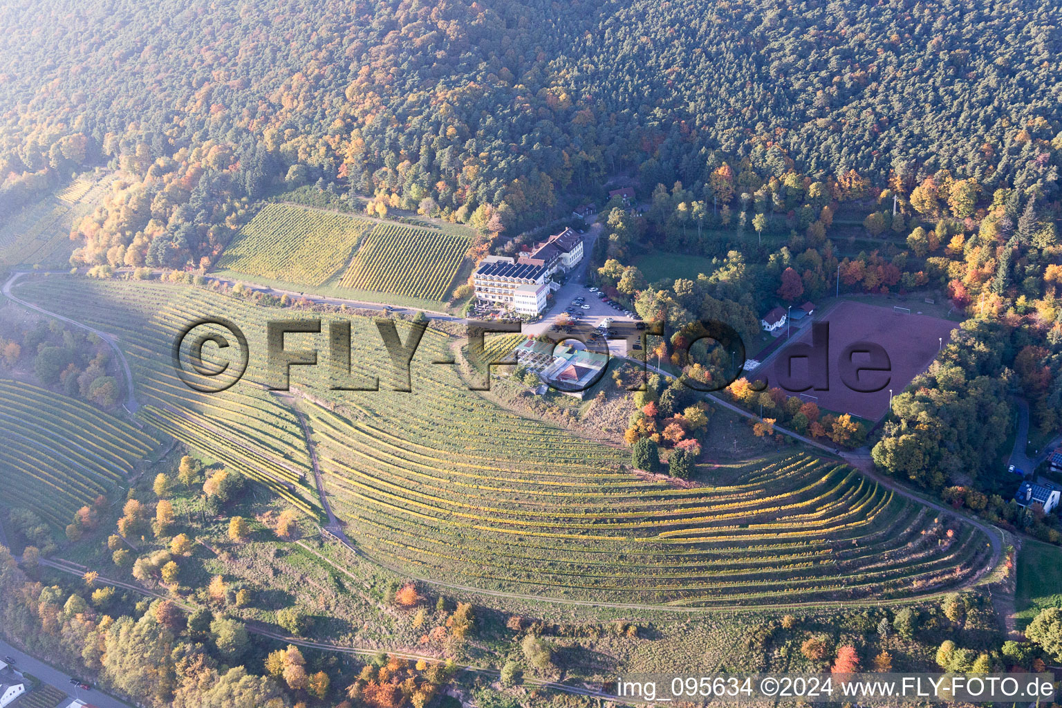 Bird's eye view of Sankt Martin in the state Rhineland-Palatinate, Germany