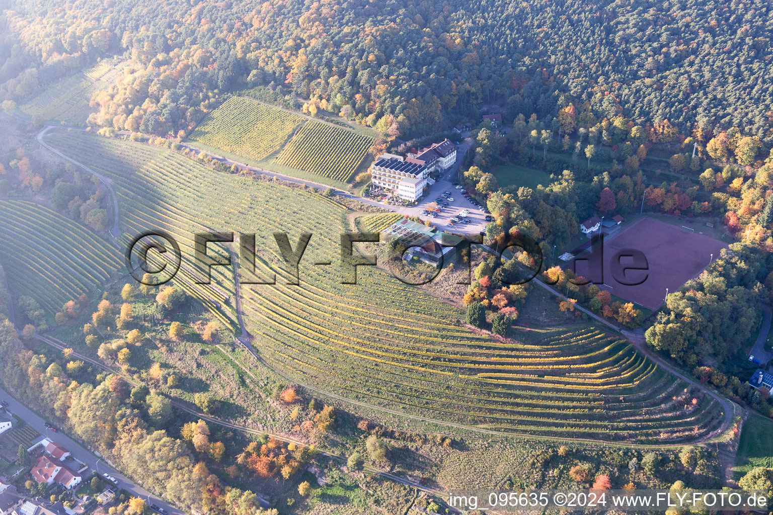 Sankt Martin in the state Rhineland-Palatinate, Germany viewn from the air