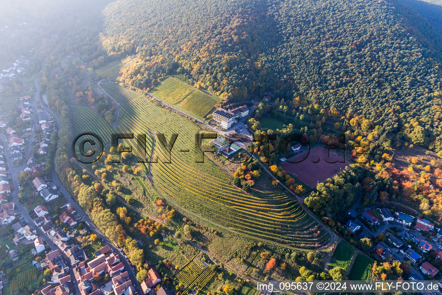 Complex of the hotel building Haus on Weinberg in Sankt Martin in the state Rhineland-Palatinate, Germany