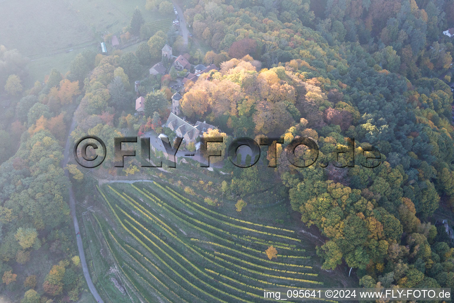 Drone recording of Sankt Martin in the state Rhineland-Palatinate, Germany