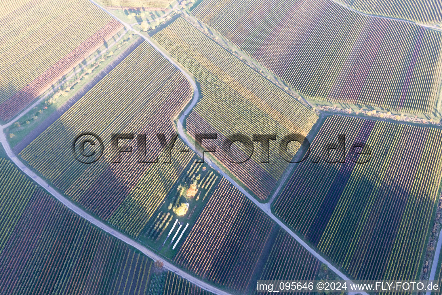 Drone image of Sankt Martin in the state Rhineland-Palatinate, Germany