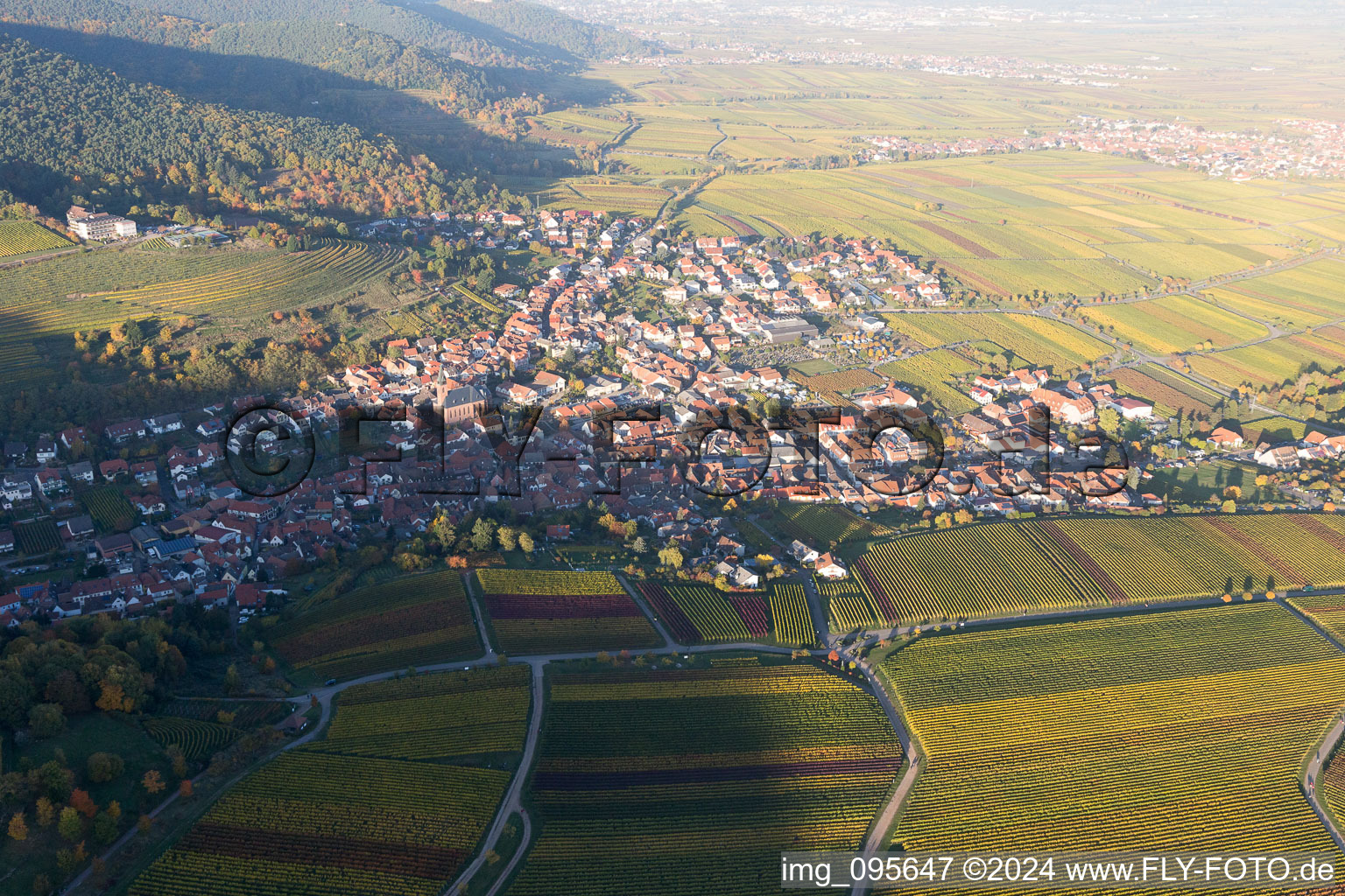 Sankt Martin in the state Rhineland-Palatinate, Germany from the drone perspective