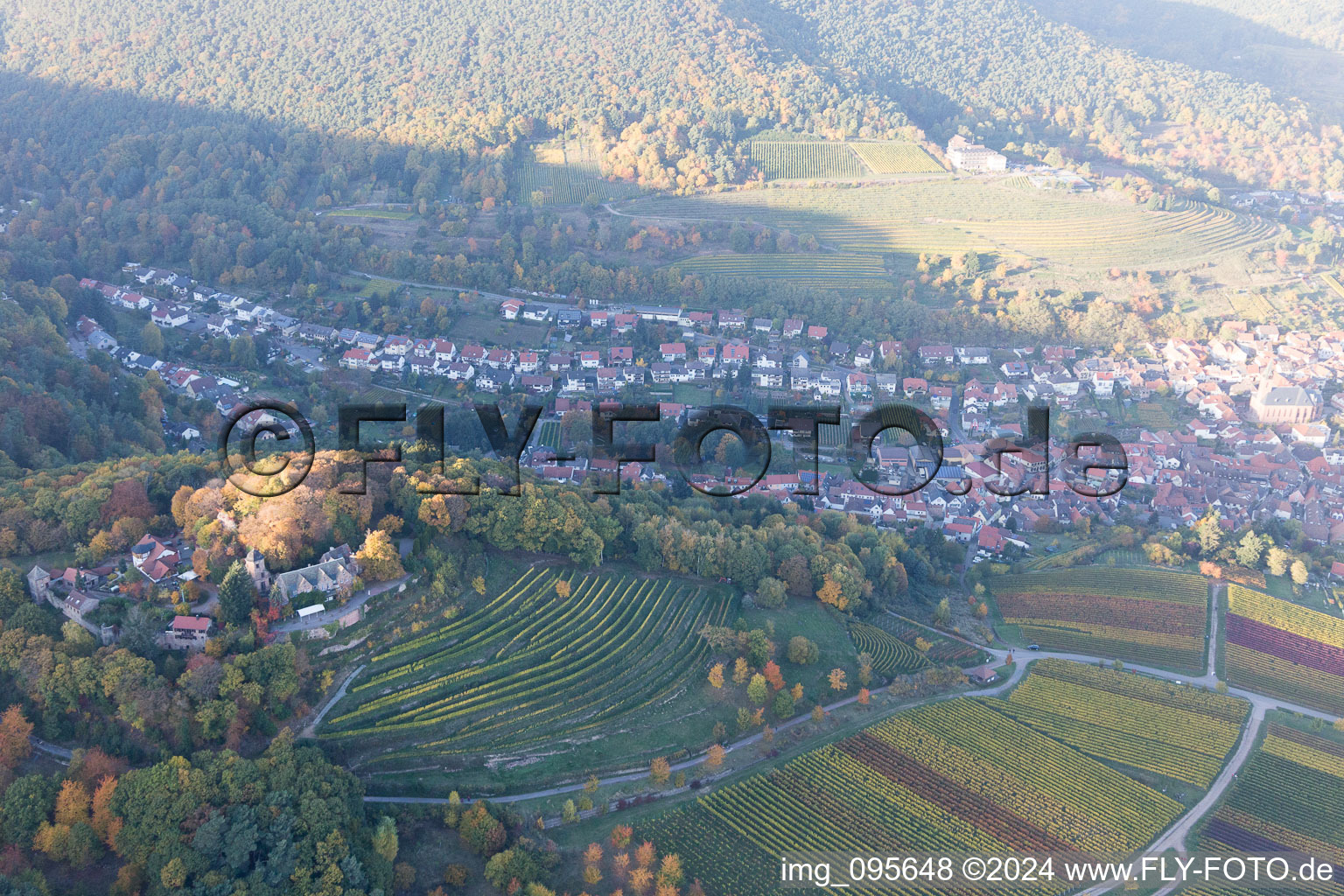 Sankt Martin in the state Rhineland-Palatinate, Germany from a drone