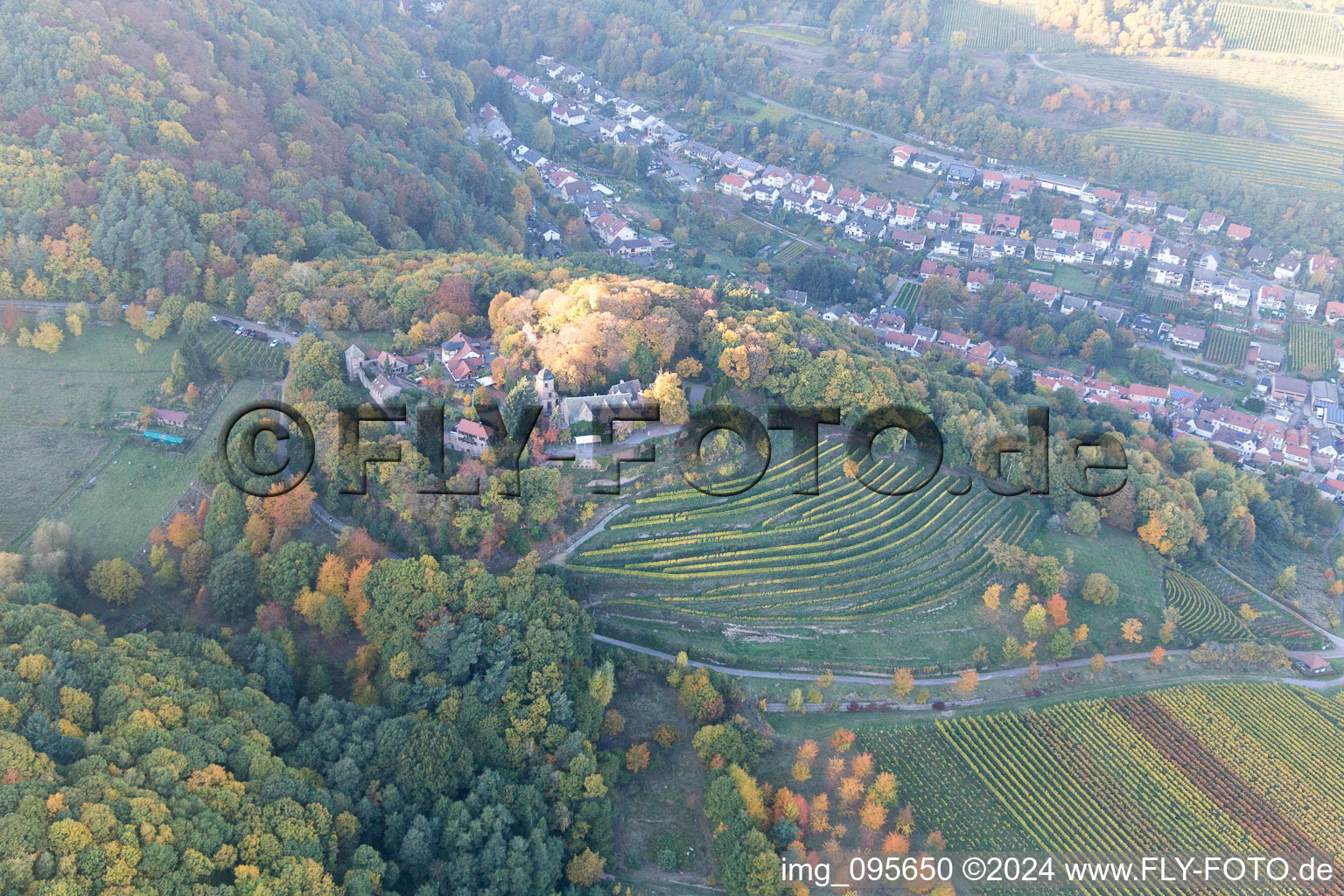 Aerial view of Sankt Martin in the state Rhineland-Palatinate, Germany