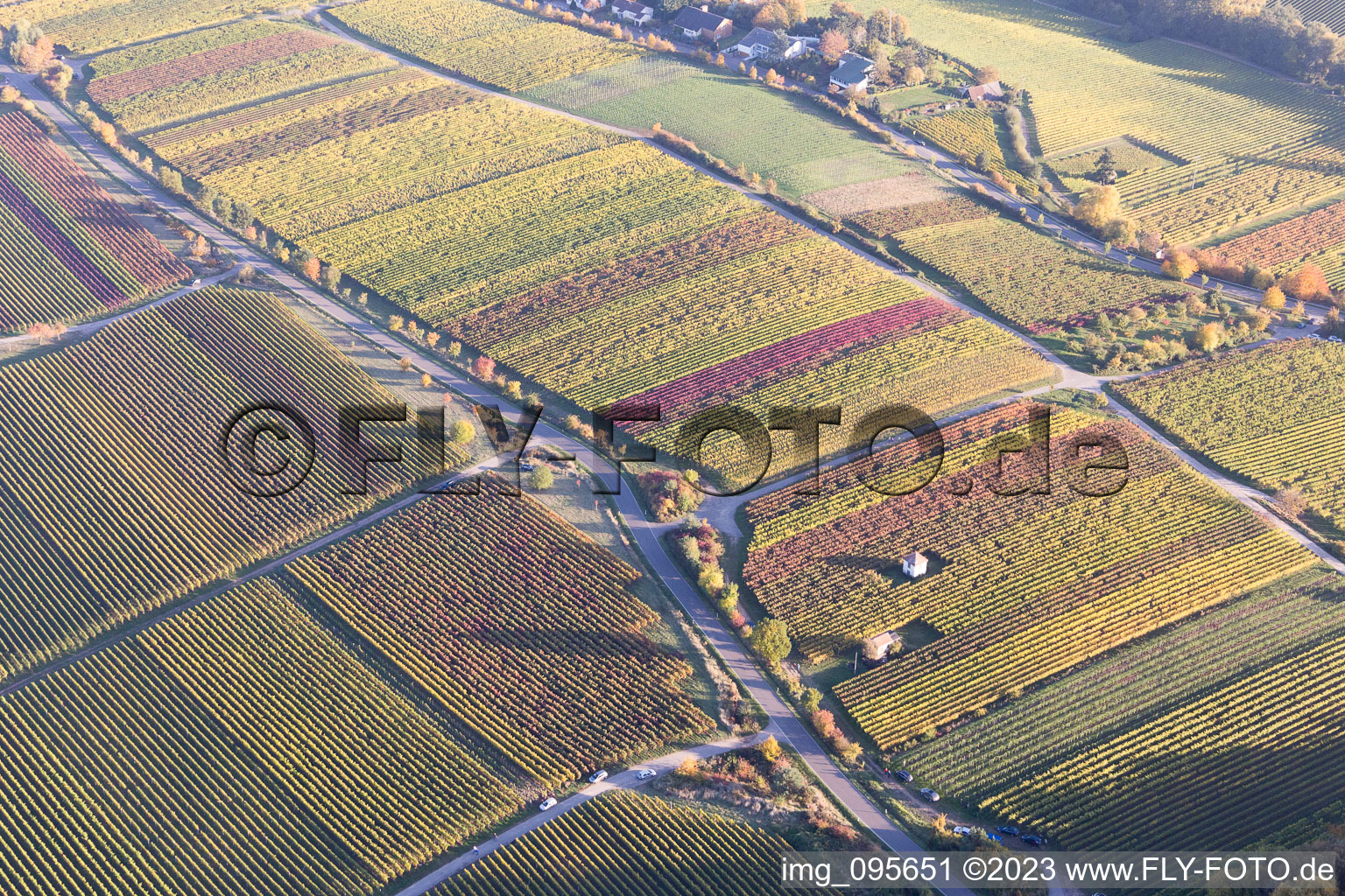 Aerial photograpy of Sankt Martin in the state Rhineland-Palatinate, Germany