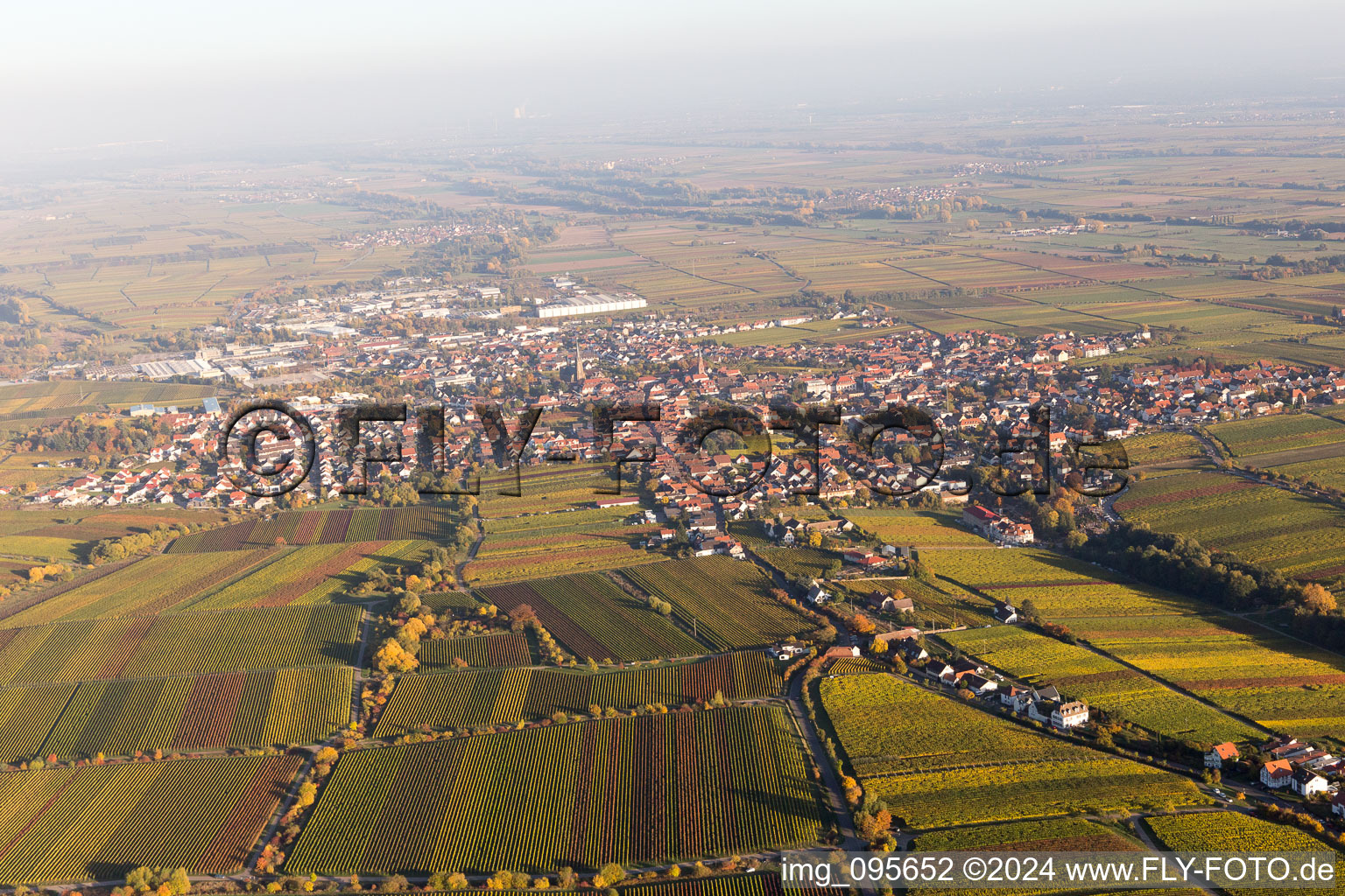 Oblique view of Sankt Martin in the state Rhineland-Palatinate, Germany