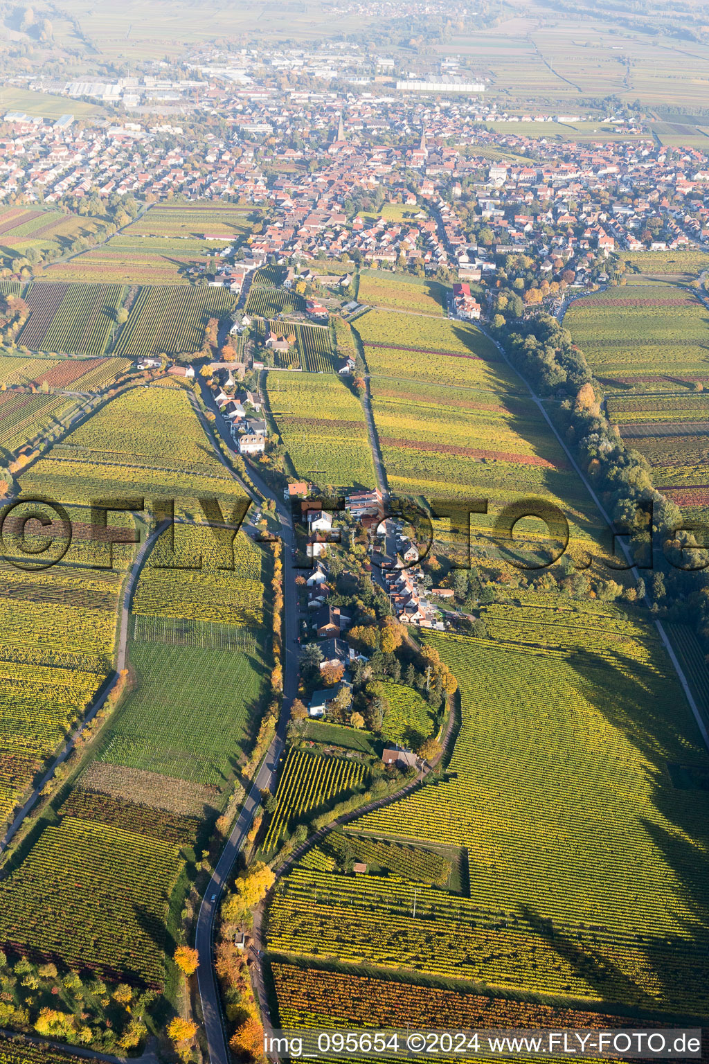 Fields of wine cultivation landscape in the district Siedlung in Edenkoben in the state Rhineland-Palatinate