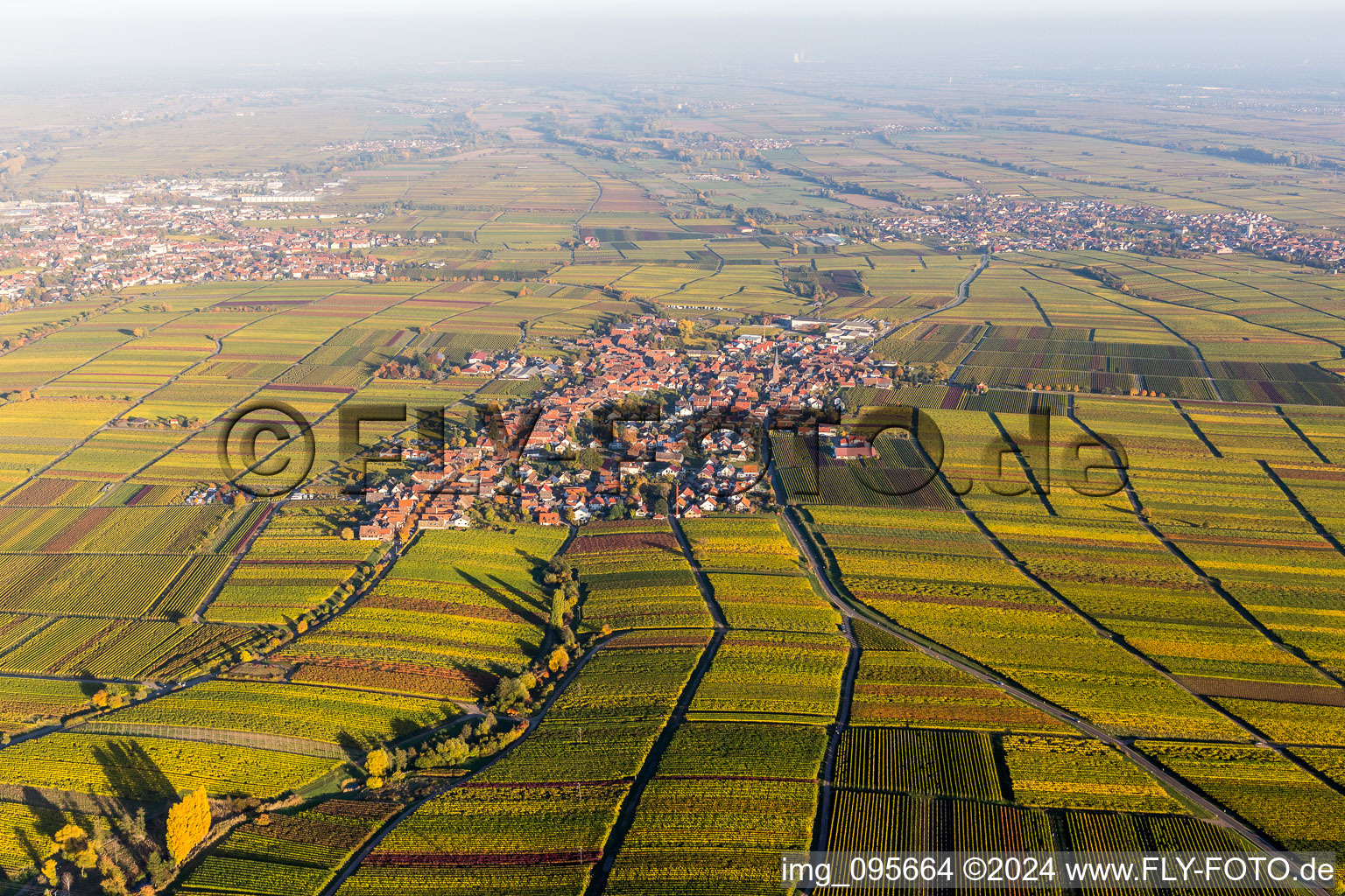 Vineyards in autumn colours in the district Rhodt in Rhodt unter Rietburg in the state Rhineland-Palatinate, Germany